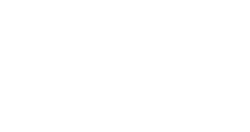 STOUT